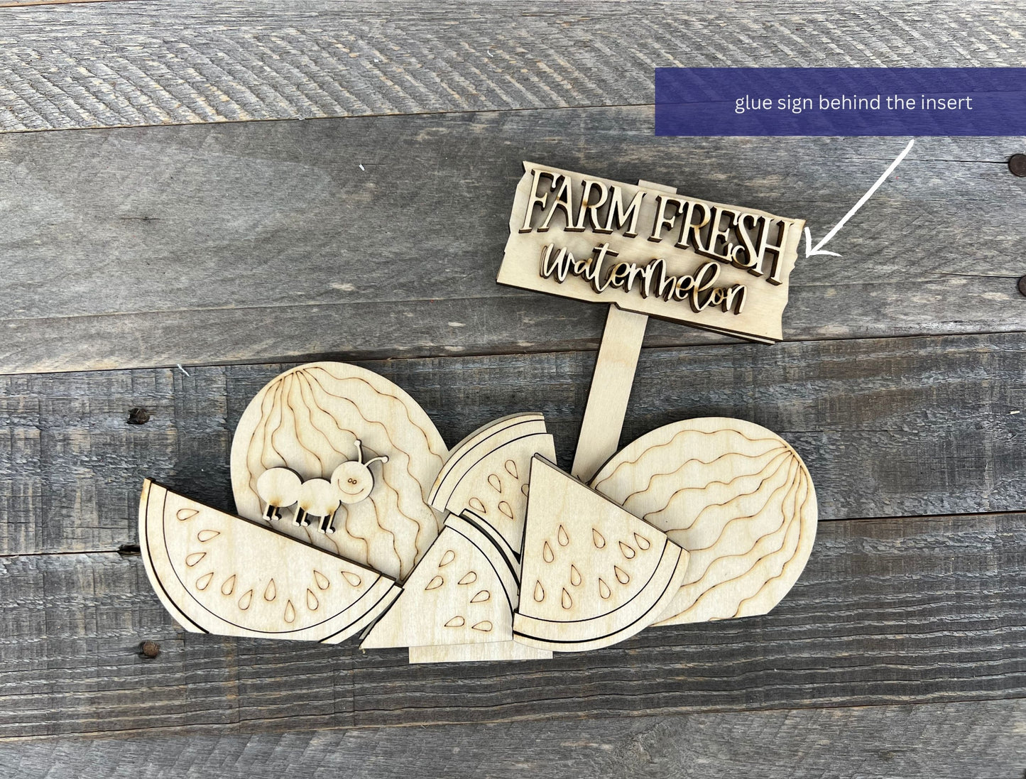 Farm Fresh Watermelon Interchangeable Basket Insert